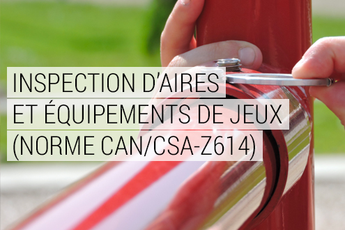 Formation Inspection Norme Cancsaz614
