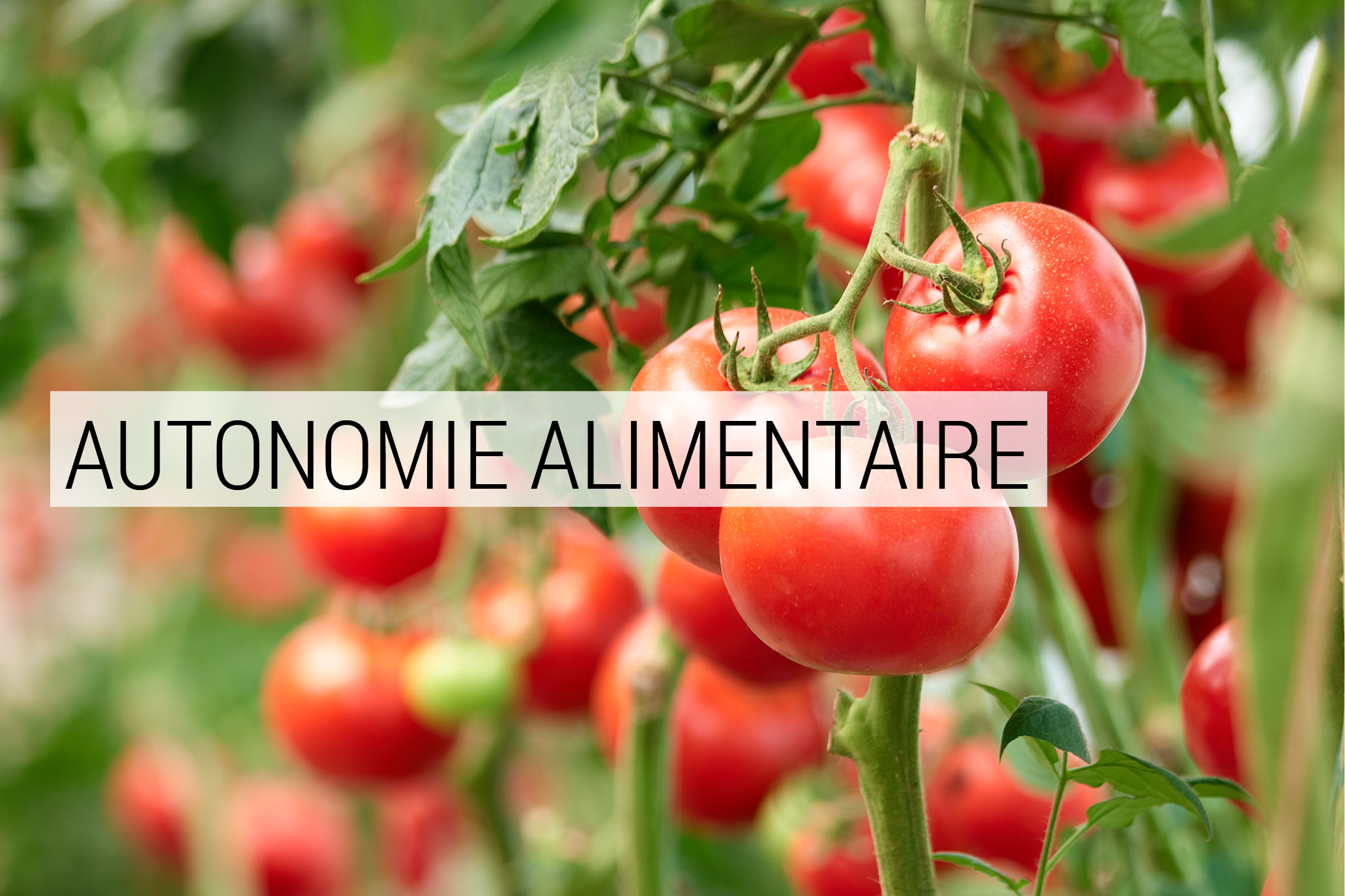 Autonomie Alimentaire